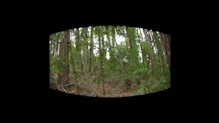 THE BEST BIGFOOT VIDEO EVER ! in Slow motion 3D VR