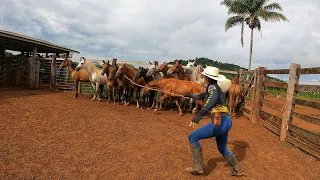 A PRIMEIRA VEZ QUE COLOCO SACO DE SAL NA MINHA MULA XUCRA! Será que pulou?