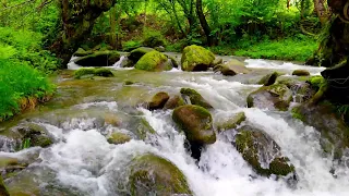 4K HDR Beautiful mountain river flowing after rain.  Relaxing river sound.