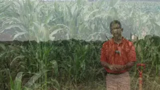 Cover Crops with the Brandt Family in Ohio