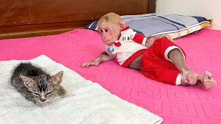 Mom helps Bibi care for and bathe the poor kitten