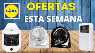 LIDL BAZAR ESTA SEMANA | OFERTAS