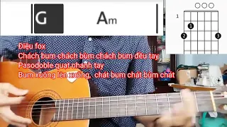 Tiếng Đàn Ta Lư / guitar đệm hát fox kết hợp với pasodoble