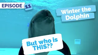 Meet Nicholas - Winter the Dolphin: Saving Winter - Episode 11