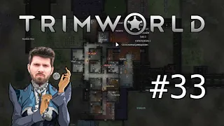 (T)RimWorld #33 mit Matteo