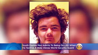 Police: South Florida Man On LSD, Charged With Tackling Disney World Guard