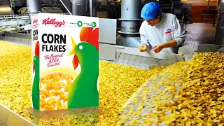 🌽 How CORN FLAKES CEREALS are MADE  | How BREAKFAST🥣 Cereals Are MANUFACTURED