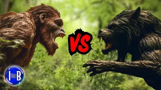 Dogman vs. Bigfoot: A Survivor's True Encounter | The InBetween