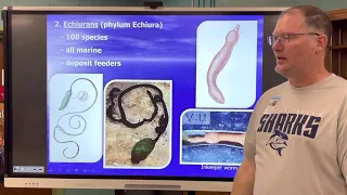 Mr Keene - AICE Marine Worms to Mollusks