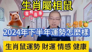 生肖屬鼠人！2024年下半年有大驚喜！本期視頻講解生肖鼠人運勢、財運、情感、健康！屬鼠人看過來！#風水 #財運 #情感 #財富 #婚姻