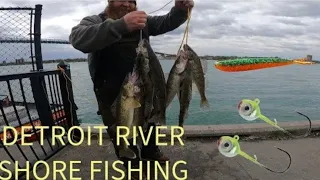 Detroit River Walleye From Shore