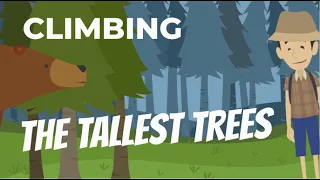 Climbing the Tallest Trees