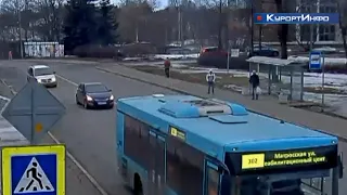 Водитель из Ленинградской области протаранил автобусную остановку в Сестрорецке