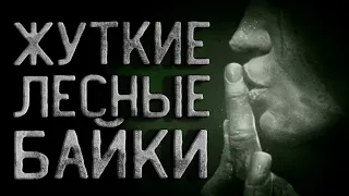 Страшные истории на ночь. Жуткие лесные байки. Мистика. Ужасы. Creepypasta.