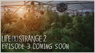 Life is Strange 2 - Episode 3 Coming Soon