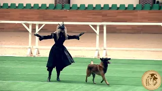 Танцы с собаками. Ильина Полина и Малинуа Сабур. Чемпионат России 2022