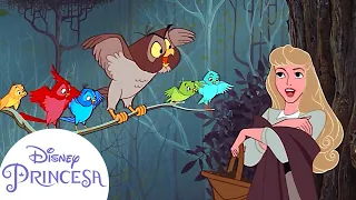 La Bella Durmiente y sus amigos del bosque | Disney Princesa