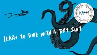 Learn to dive with a dry suit