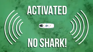 Shark Shield FREEDOM+ Surf Test