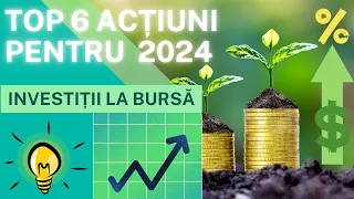 Cele mai bune acțiuni cu dividend pentru investiții în 2024