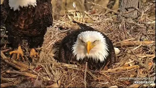 Decorah North Nest 3-27-24, 5 pm Just a beautiful scene in the valley