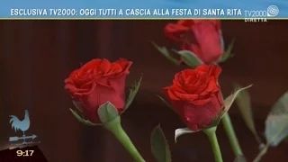 I petali di rosa di Santa Rita