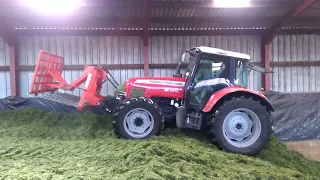 Cumbrian Silage. Massey Ferguson 5470 buckraking at the pit