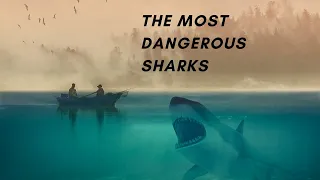 The Most Dangerous Sharks in the Ocean #viral_facts #sharks #tigersharks #greatwhitesharks #facts