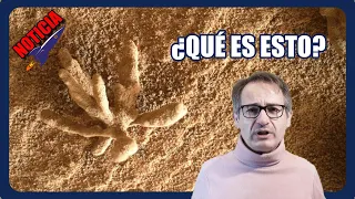 ¿Qué es lo que encontró en Marte el Curiosity?