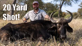 SPOT and STALK Cape Buffalo Bow Hunt!