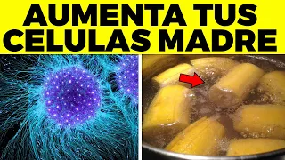 Rejuvenece Y Aumenta Tus Células Madre Naturalmente