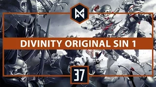 Divinity: Original Sin [BLIND] | Ep 37 | Nick | Let’s Play CO-OP