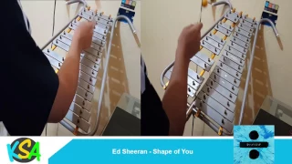Ed Sheeran - Shape of You (Lira Cover)