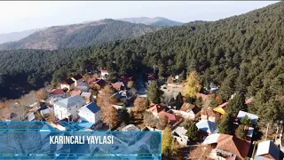 Karıncalı Yaylası - Dji Mavic Mini Cinematic Footage