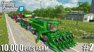 Swathing CANOLA and TENDING to 10,000 PIGS | 10,000 PIGS FARM | Farming Simulator 22