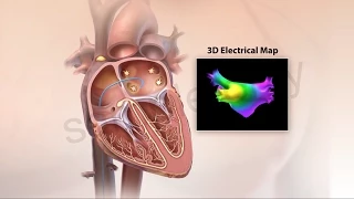 3D Electrical Mapping