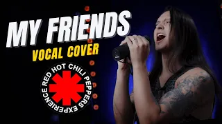 My Friends (Red Hot Chili Peppers) cover by Juan Carlos Cano