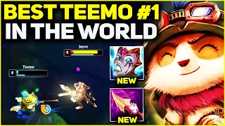 RANK 1 BEST TEEMO IN THE WORLD AMAZING GAMEPLAY! | Season 13 League of Legends