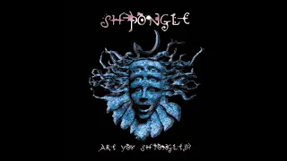 Shpongle - Are You Shpongled (1998) [2017 remaster] HQ FULL ALBUM. PSY DUB. TRIPPY DOWNTEMPO.