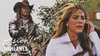 Pasion de Gavilanes 2 - Hombres armados roban caballos de la hacienda Reyes