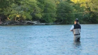 Two Minute Drill | The Forward Spey Cast