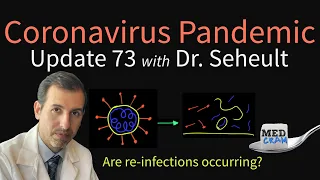 Coronavirus Pandemic Update 73: Relapse, Reinfections, & Re-Positives - The Likely Explanation