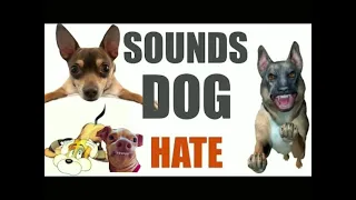 Sounds Dogs Hate