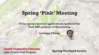 Spring Pink Meeting - Lailiang Cheng