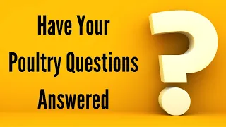 Have Your Poultry Questions Answered