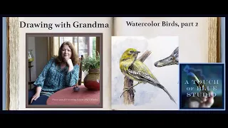 Drawing Birds for watercolor studies, Part 2: Lesson #36