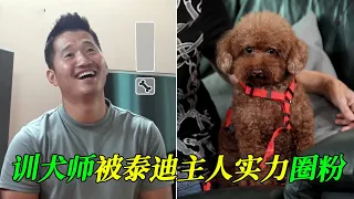 泰迪把主人當成同事，對外人卻很有禮貌，訓犬師對症下藥，卻意外被主人圈粉