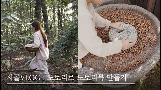 Korean rural life : Making acorn jelly with acorn / korean food / korea's contryside