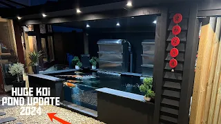 MASSIVE!! update on the**koi**and all my other pets ,my new koi pond ideas???