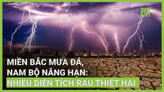 Miền Bắc mưa đá, Nam Bộ nắng hạn: Nhiều diện tích rau thiệt hại | VTC16